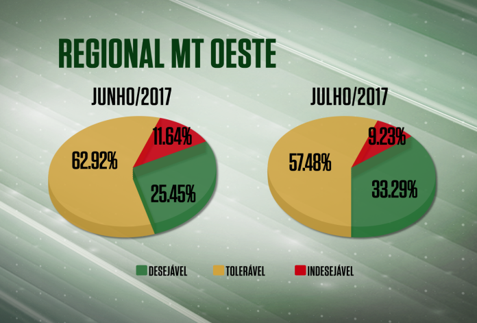 Acabamento de gordura do gado de MT melhora 12%