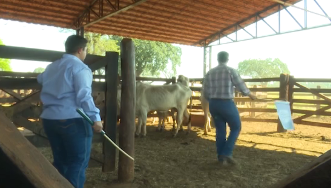 Papo de Curral: Capacitação profissional faz diferença no atendimento a campo