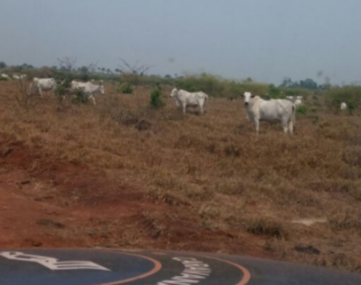 Caravana da Produtividade está em Mato Grosso