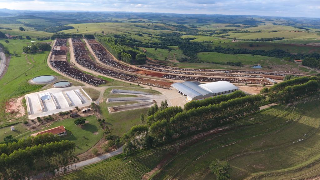 Tour DSM de Confinamento reúne pecuaristas em Riversul-SP