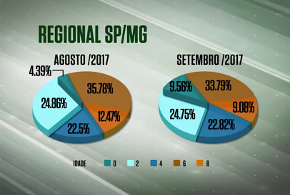 Confinamento contribui para abate de animais precoces em SP e MG