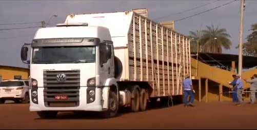 Regulamentação reforçará bem estar no transporte de bovinos em 2019