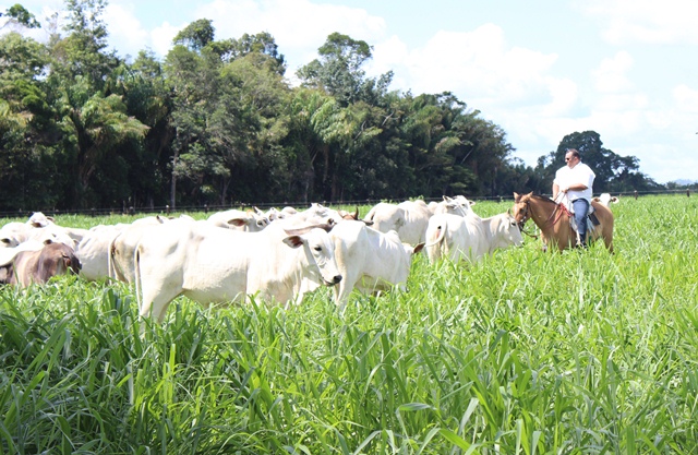 Sucessão rural: como uma boa história garante o futuro de sua fazenda?