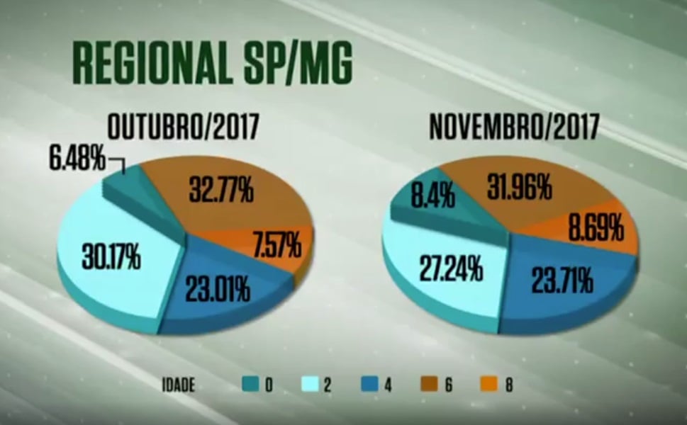 Confinamento melhora acabamento das carcaças de SP e MG em novembro