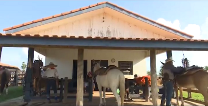 Aprenda o modo correto de fazer rodízio e dar banho nos cavalos