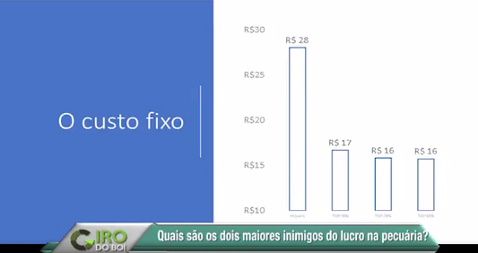 Conheça os dois maiores inimigos do lucro de uma fazenda de gado de corte