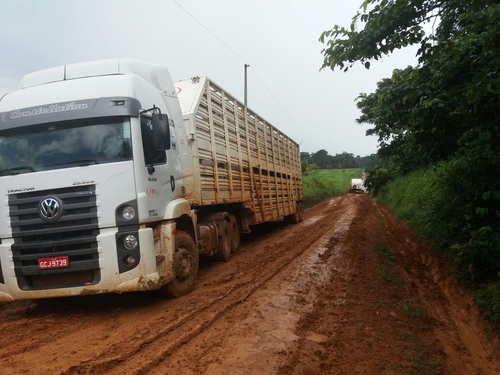 Cinco dicas para ajudar o pecuarista a embarcar gado na época das chuvas