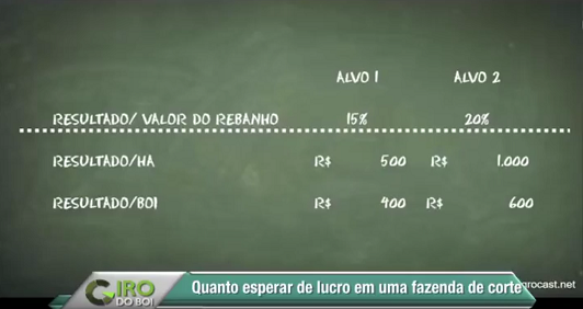 Saiba calcular o lucro esperado de sua fazenda a partir de três variáveis