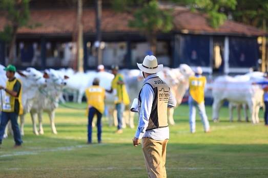 Expozebu 2023: maior evento das raças zebuínas começa próximo dia 29