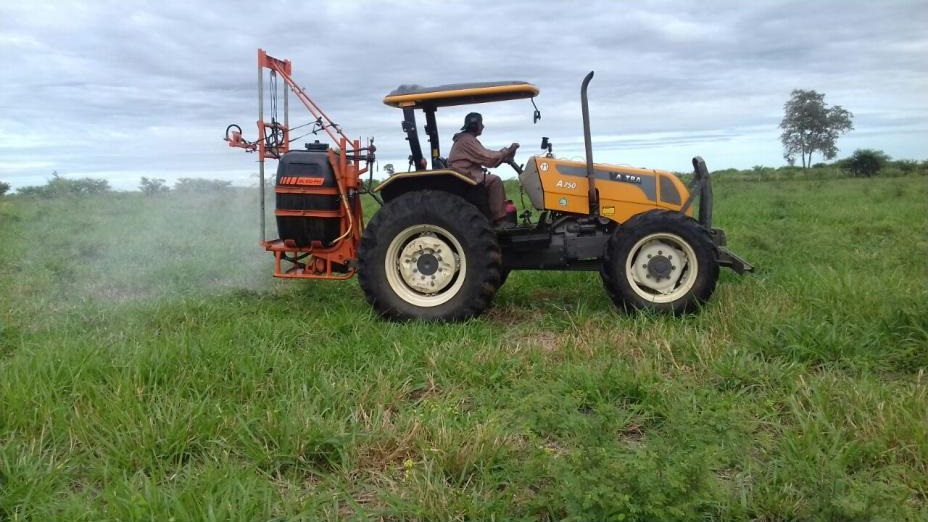 Pecuarista do MS pode aproveitar últimas chuvas para controlar plantas daninhas