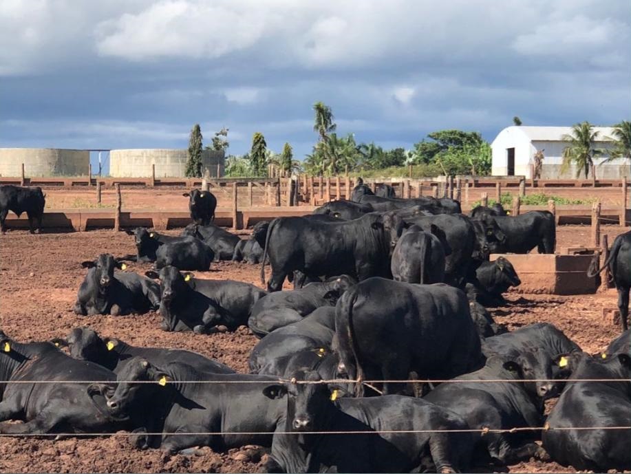 Unidade de Pontes e Lacerda-MT entrega premiação para o pecuarista do mês