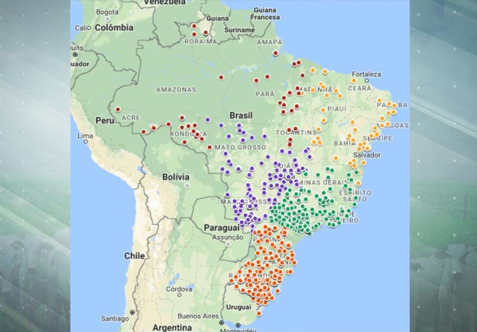 Prévia de pesquisa aponta principais preocupações do pecuarista brasileiro