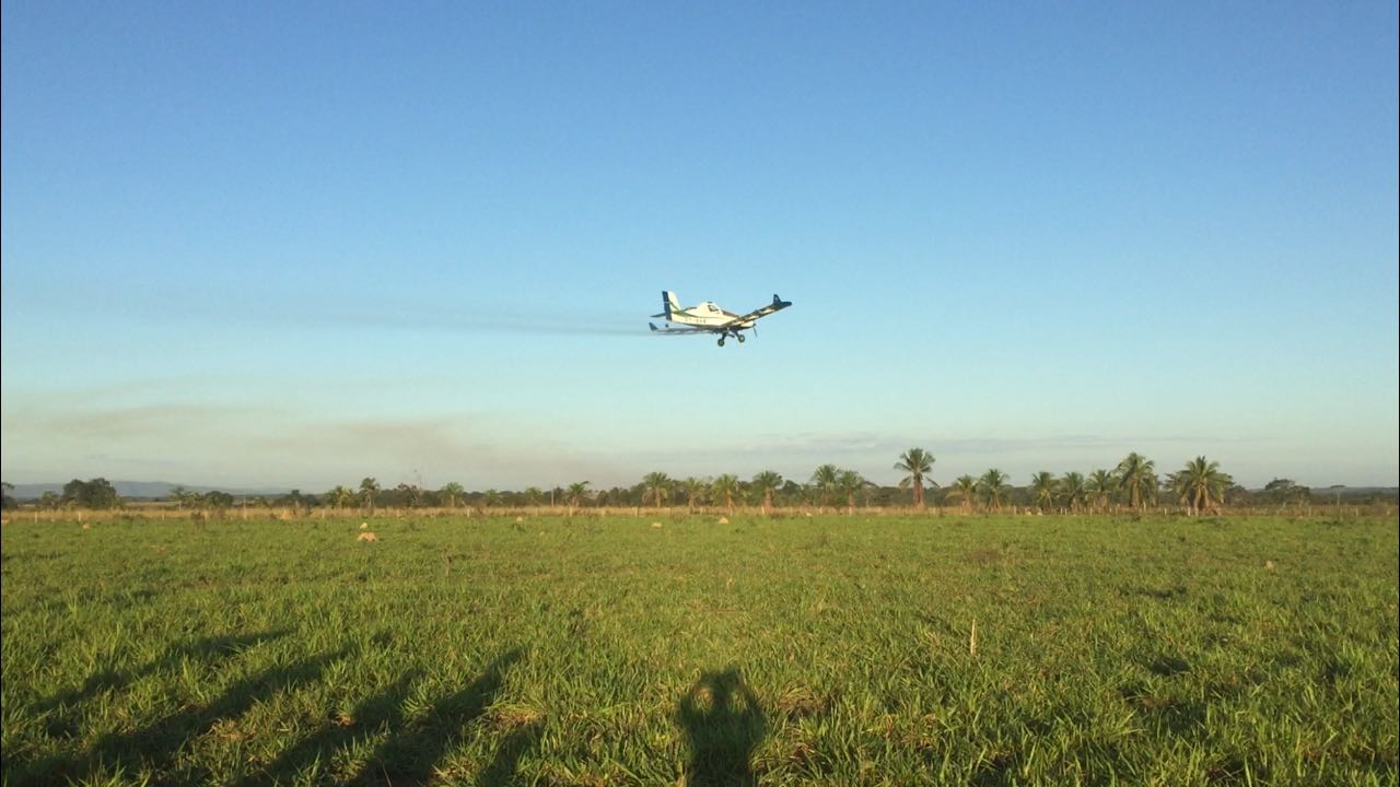 Aplicação aérea de herbicidas pode cobrir área até 20 vezes maior do que o trator em um dia