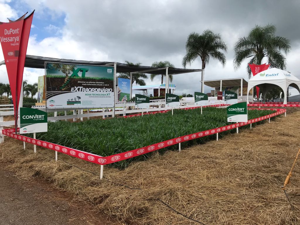 Tecnologia para controle de plantas daninhas é apresentada para associados da Coperdia em Concórdia-SC