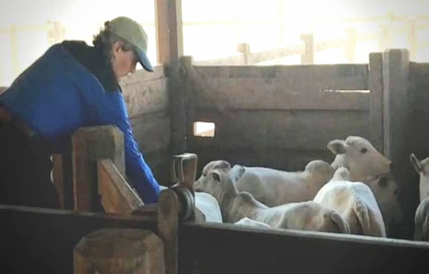 Tecnologia não substitui o bom manejo, afirma Temple Grandin