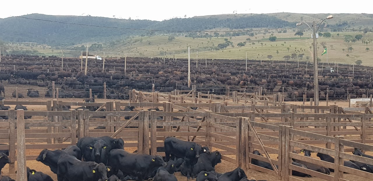 Confinamento em alta aquece mercado de reposição