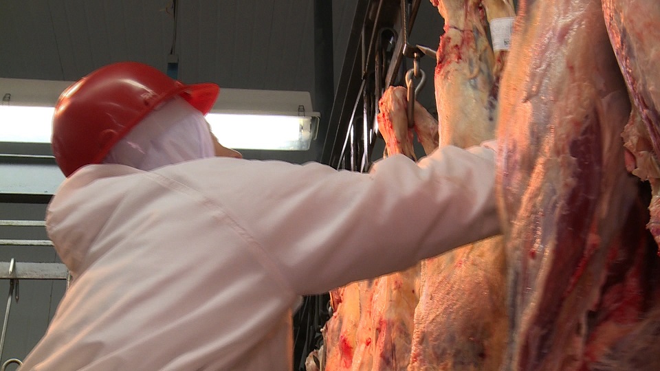 Em vídeo, Tereza Cristina agradece trabalhadores das indústrias de proteína animal