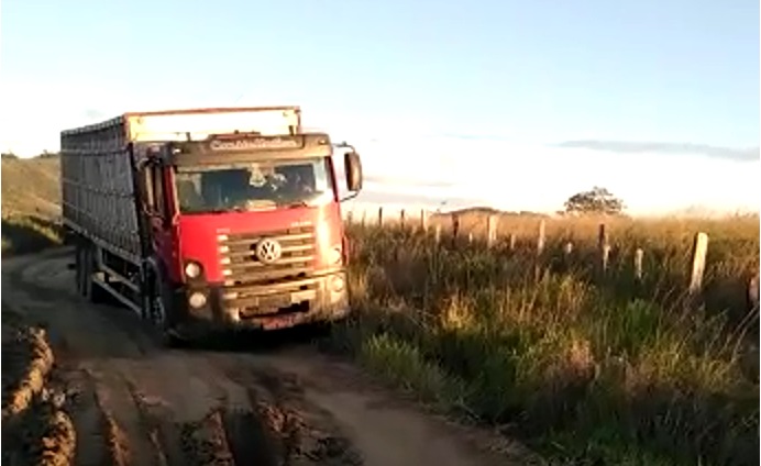 Abandono de estradas nas zonas rurais prejudica pecuaristas da Bahia