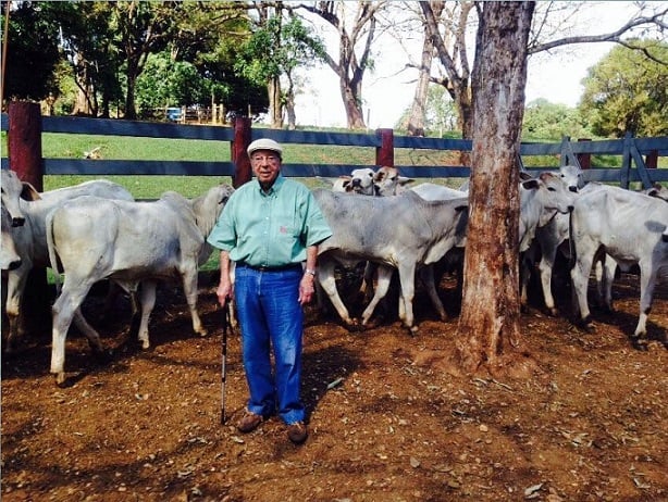 Ninguém pode produzir carne mais barata que o Brasil, afirma agrônomo de 104 anos