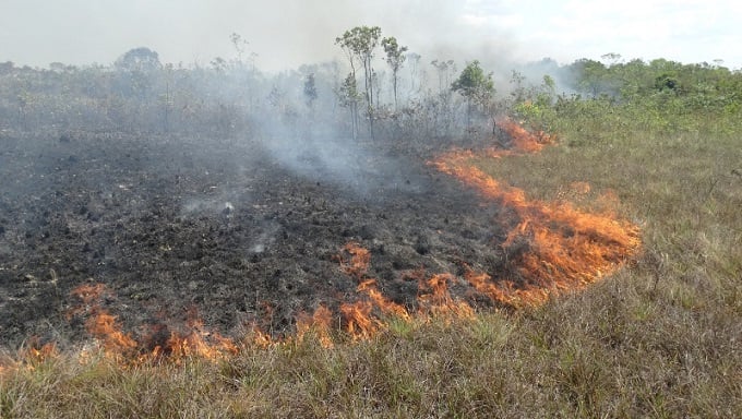 Queimadas podem render multas de ao menos R$ 5 mil por hectare