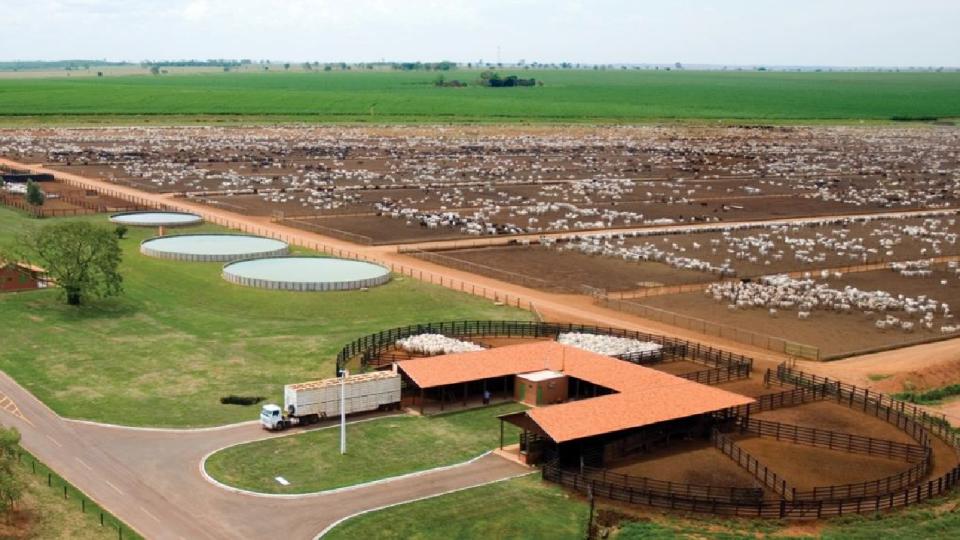 Conheça a estrutura e os modelos de negócio do boitel recém-inaugurado em Castilho-SP