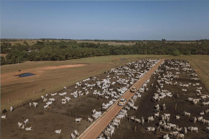 “A gente produz aquilo que quer comer”, afirma zootecnista responsável por confinamento no MT