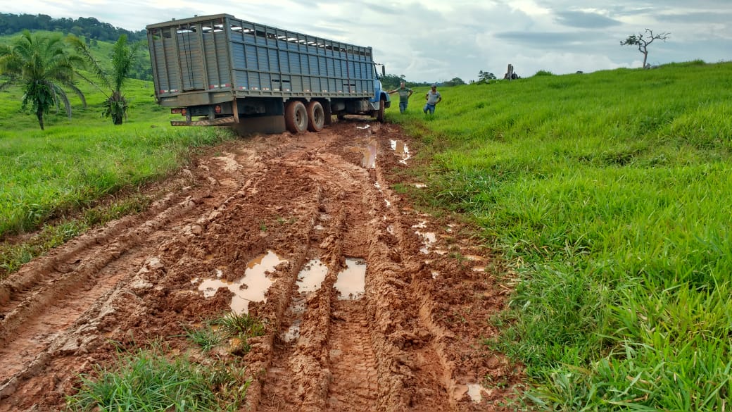 Chuvas chegam a 300 mm em novembro e atrapalham transporte de gado em Rondônia