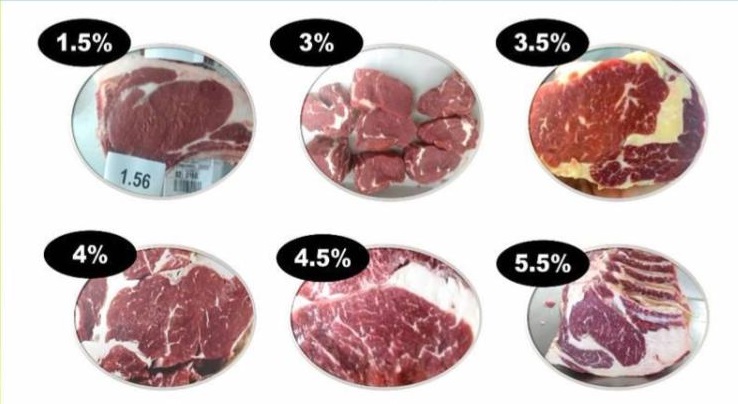 Pesquisa relaciona satisfação do consumidor ao marmoreio da carne bovina