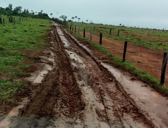 Excesso de chuvas deverá dificultar transporte boiadeiro no Bioma Amazônico nas próximas semanas