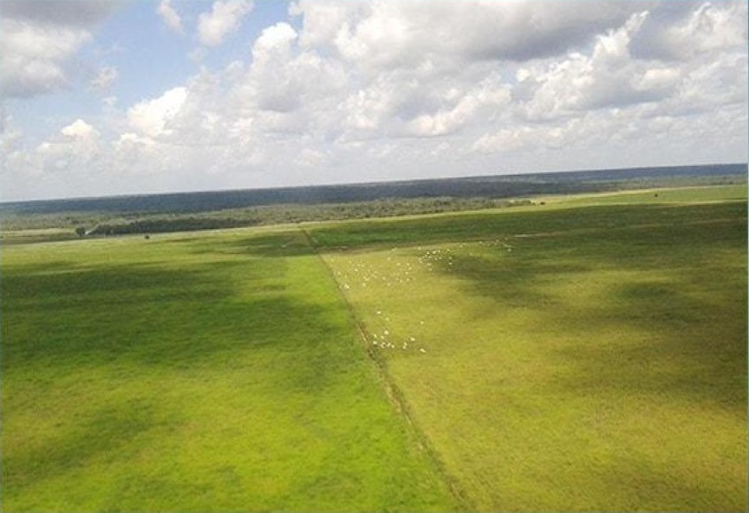 Com “simbiose” lavoura-pecuária, fazenda no MT aumentou em mais de 40 vezes a produção de alimentos em dez anos