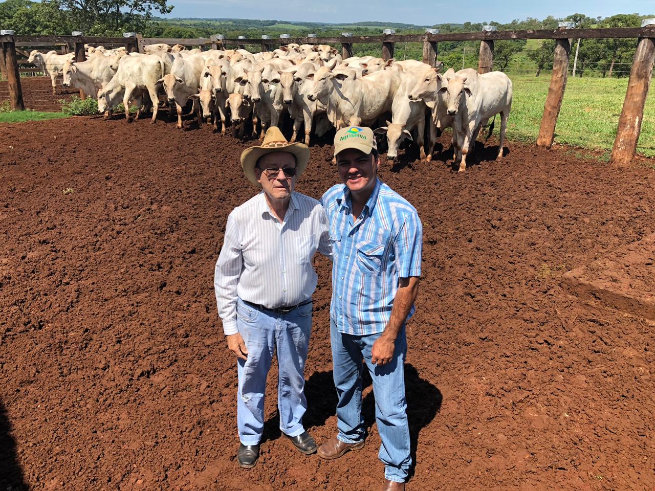 Fazenda Itaguassu, de Maracaju-MS, é primeira a abater no novo protocolo exclusivo para associados da ACNB