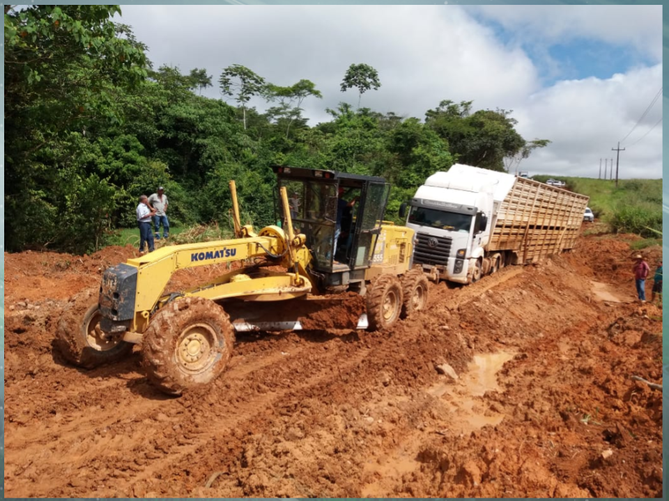 Chuvas continuam atrapalhando embarque de boi gordo em MS e MT