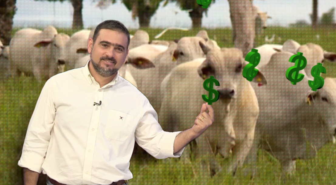 Como fazer mudanças na fazenda para alcançar a meta financeira?