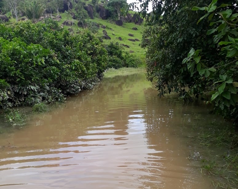 Chuvas e tráfego intenso prejudicam condições das estradas de terra no Pará e Rondônia