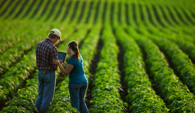 Cursos de inglês no agro ganham força no Brasil