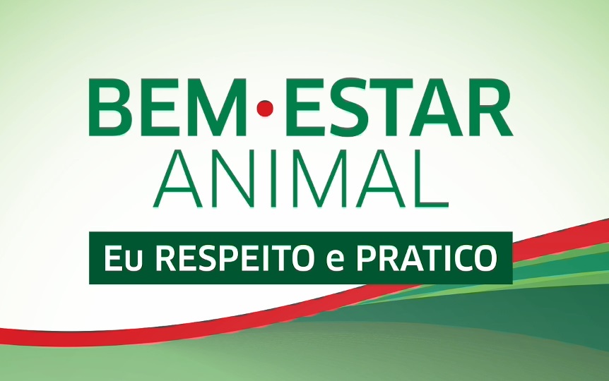 Bem-estar animal: oito ações para abolir da rotina do curral