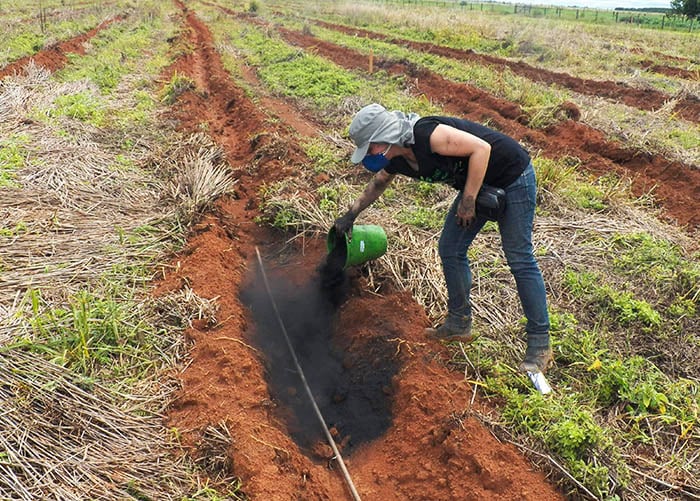 Biocarvão: pesquisa da Embrapa transforma passivo ambiental em solução para fertilidade do solo