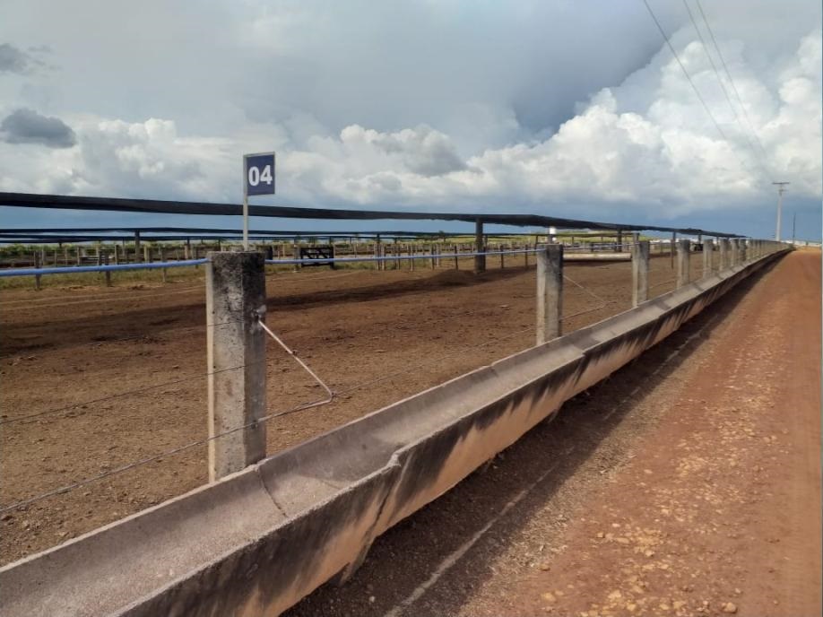 Dia de Campo neste sábado, 25, marca inauguração de boitel em Nova Canaã do Norte-MT