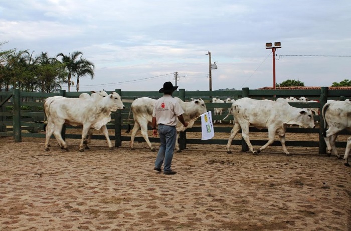 Pessoas têm tanto potencial quanto o agronegócio, afirma especialista em comunicação