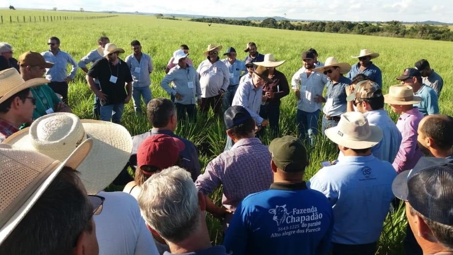 Pecuaristas de Rondônia participam de feira e curso técnico sobre pastagens