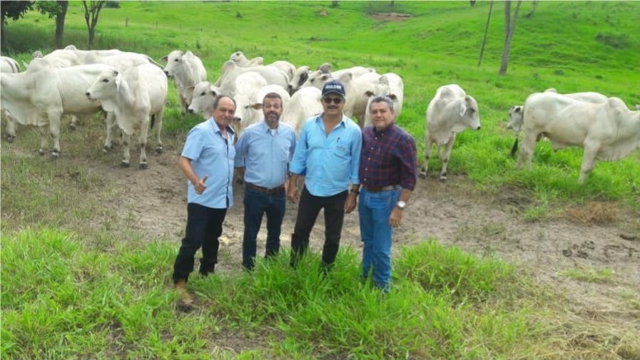 "Nós temos a melhor carne do mundo", afirma pecuarista de fazenda modelo na Bahia