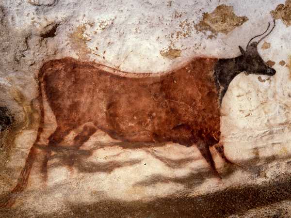 História da carne bovina acompanha a evolução da humanidade