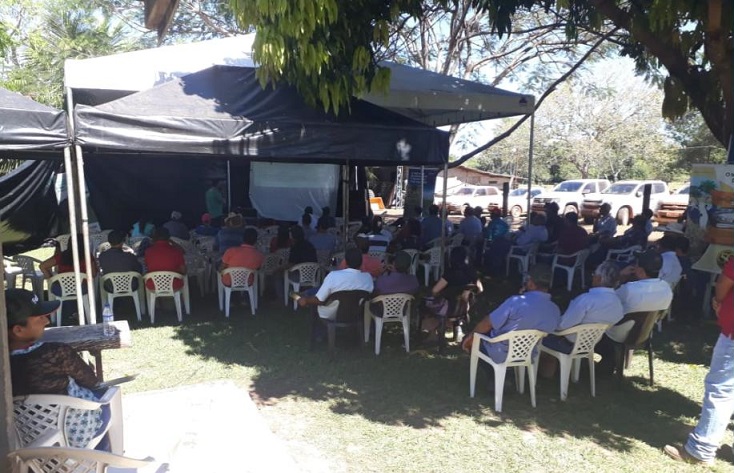 Veja imagens do 2º Dia de Campo da Fazenda Conquista, em Alto Boa Vista-MT