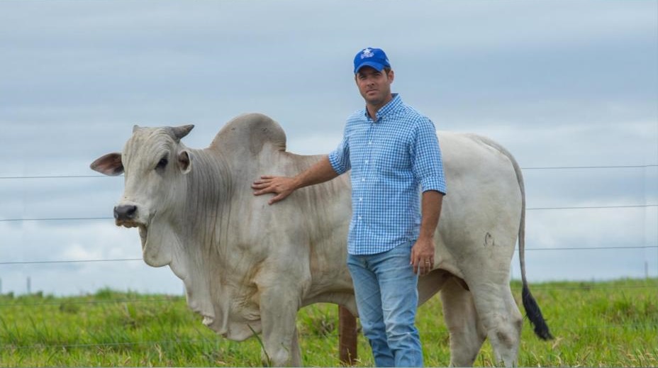 “Pecuária na veia” e pasto limpo são ingredientes do sucesso de produtor de Alagoas