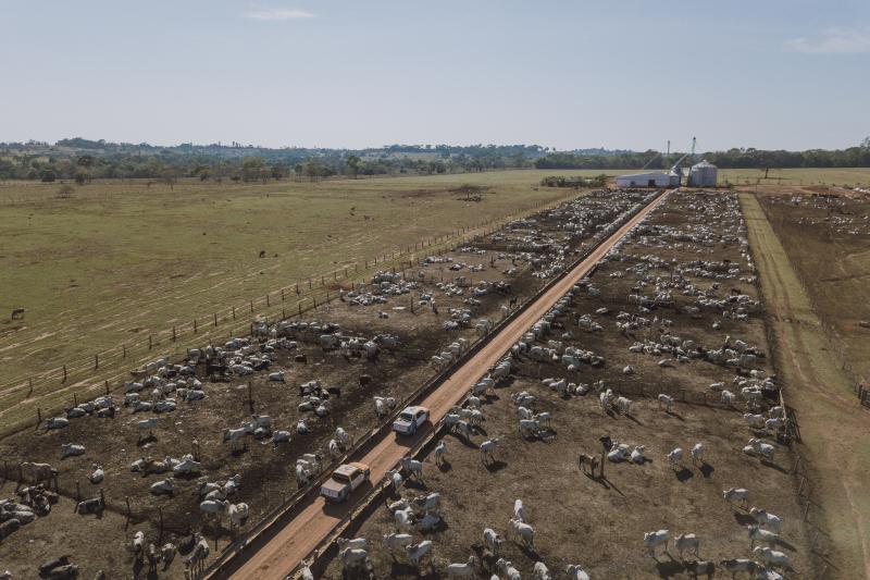 Confinamento se transforma em “canivete suíço” do pecuarista