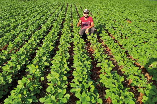 Fazendas à beira da falência se tornaram exemplos de produtividade apostando na capacitação