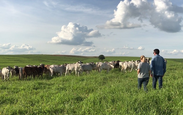 Do “tocador de fazenda” ao empresário rural: o desafio de gestão para o pecuarista de sucesso