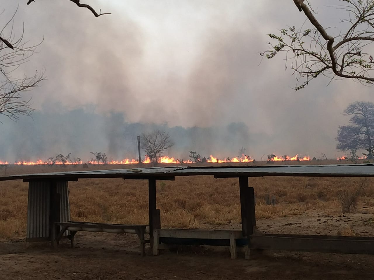 Incêndio atinge 100 alqueires de pastagens em Colíder, norte mato-grossense