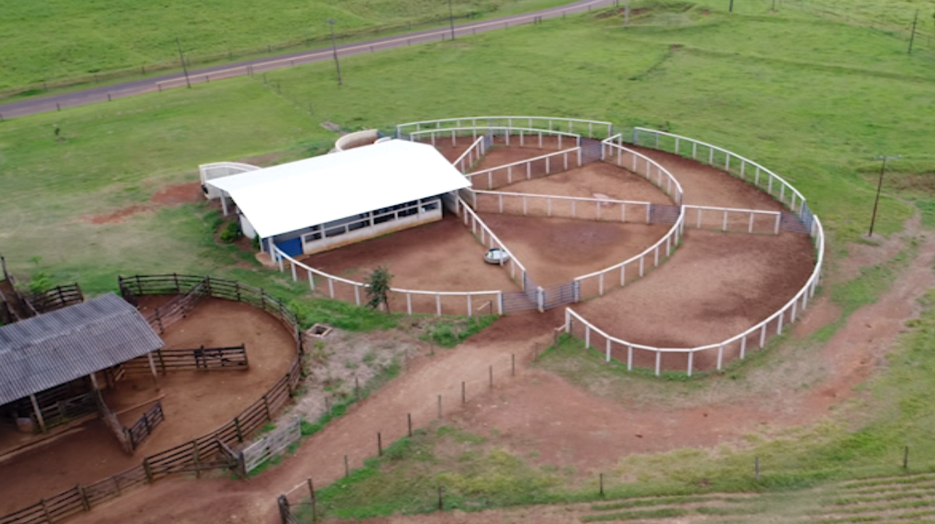 Saiba como construir um bom e eficiente “curral de manejo”