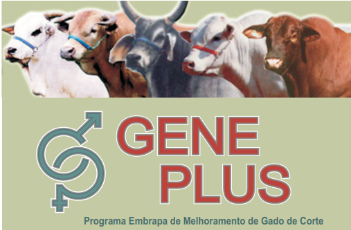 Curso Geneplus - Embrapa chega ao Acre